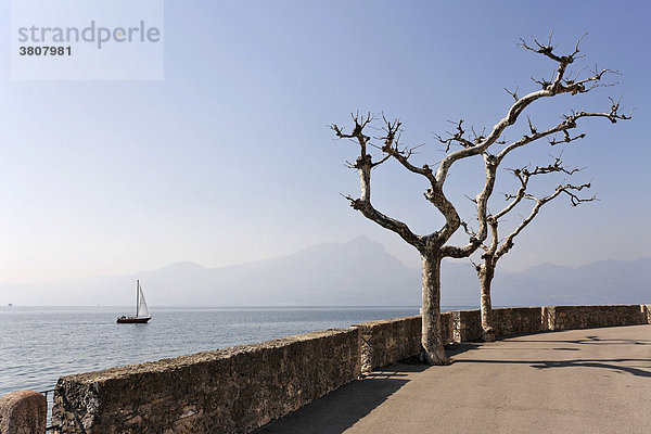 Uferpromenade und Segelschiff  Torri del Benaco  Gardasee Italien