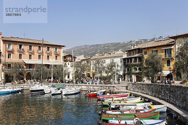 Hafen mit kleinen Fischerbooten  Torri del Benaco  Gardasee Italien