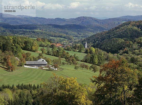 Blick vom Gerichtsberg auf ein Bauernhaus und die Kirche in Kaumberg  Niederösterreich  Österreich
