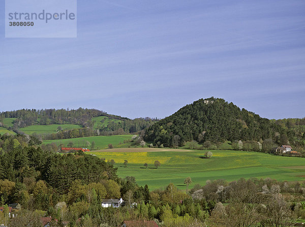 Hügel des Pankraziberges im Wald versteckt eine Kirchenruine  Nöstach  Niederösterreich