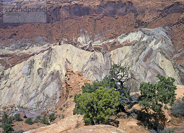 Upheaval Dome  Canyonlands Nationalpark  Utah  USA
