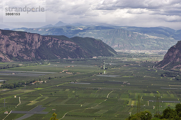 Obst und Weinanbau im Etschtal Blick nach Bozen  Auer  Südtirol Italien