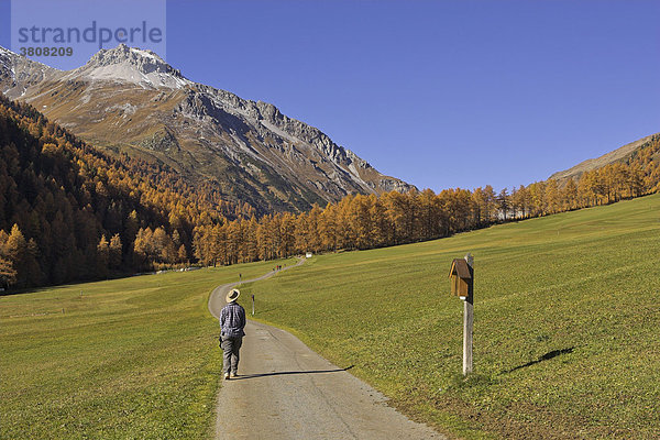 Wanderung zur Schlininger Alm  Schliniger Tal  Oberer Vinschgau  Südtirol  Italien