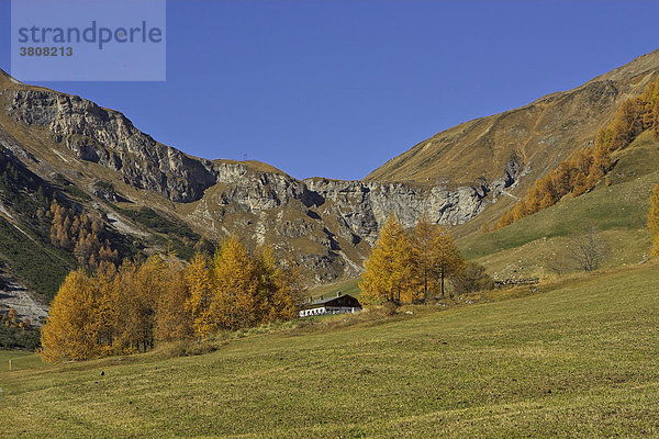 Wanderung zur Schlininger Alm  Schliniger Tal  Oberer Vinschgau  Südtirol  Italien