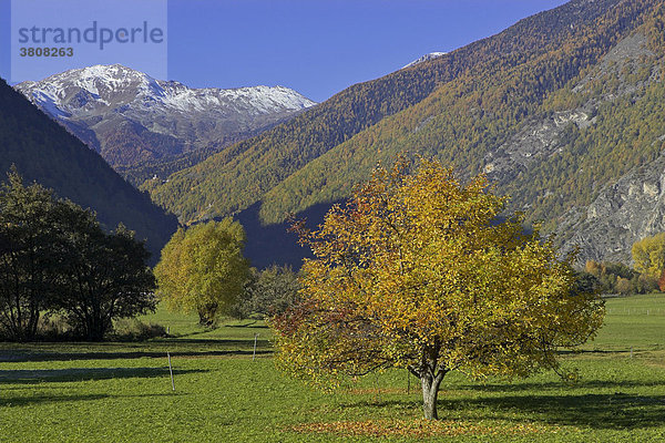 Herbstliche Stimmung Blick auf das Münster Tal  Oberer Vinschgau  Südtirol  Italien