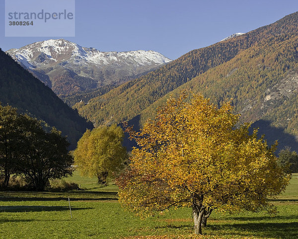 Herbstliche Stimmung Blick auf das Münster Tal  Oberer Vinschgau  Südtirol  Italien