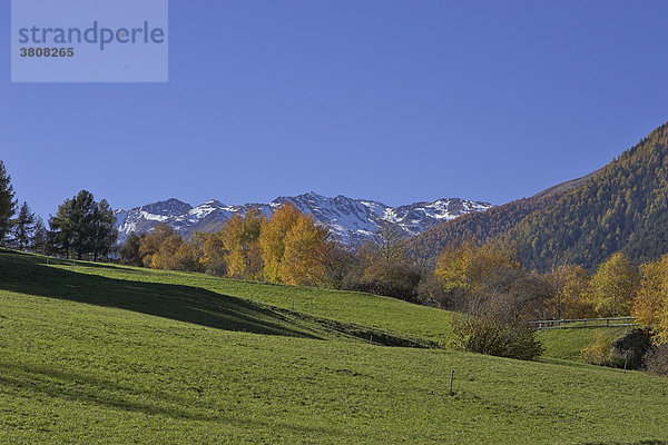 Herbstliche Landschaft am Prader Berg  Vinschgau  Südtirol  Italien