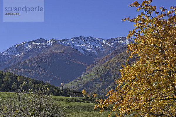 Herbstliche Landschaft am Prader Berg  Vinschgau  Südtirol  Italien