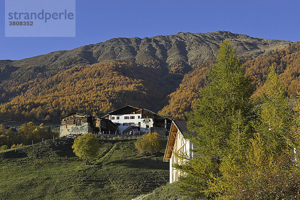 Bergbauernhof am Fuß der Kopflplatte  oberhalb von Prad  Vinschgau  Südtirol  Italien