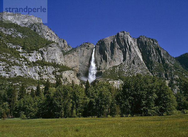 Lower Yosemite Wasserfall vom Yosemite Tal aus  Yosemite NP  Kalifornien  USA