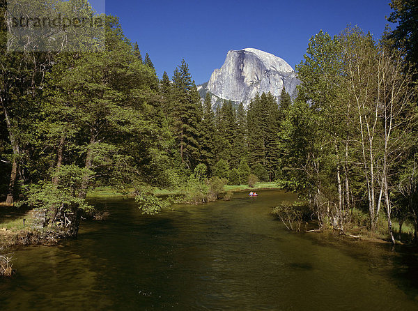 Merced River im Hintergrund Half Dome (2693 m)  Yosemite NP  Kalifornien  USA