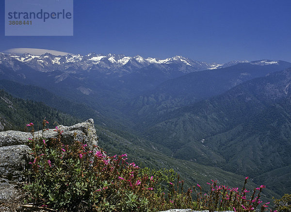 Blick nach Norden (Sierra Nevada mit Alta Peak 3415 m)  Moro Rock  Sequoia NP  Kalifornien  USA