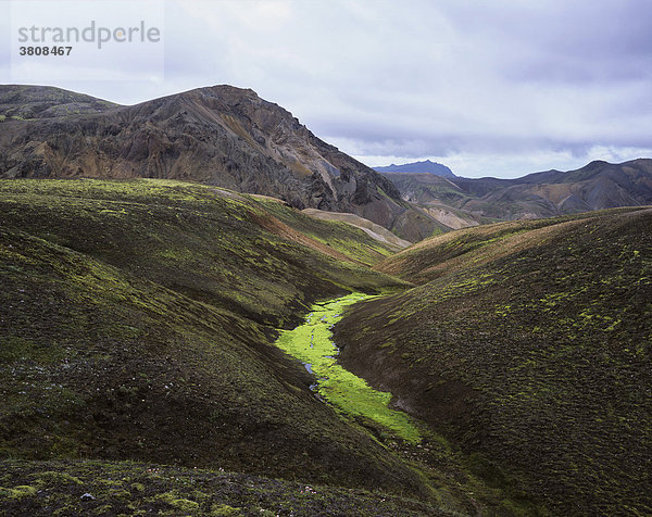 Kleine Quelle mit leuchtend grünem Quellmoos  Laugavegur  Landmannalaugar  Island