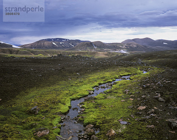 Kleine Quelle mit leuchtend grünem Quellmoos  Laugavegur  Landmannalaugar  Island