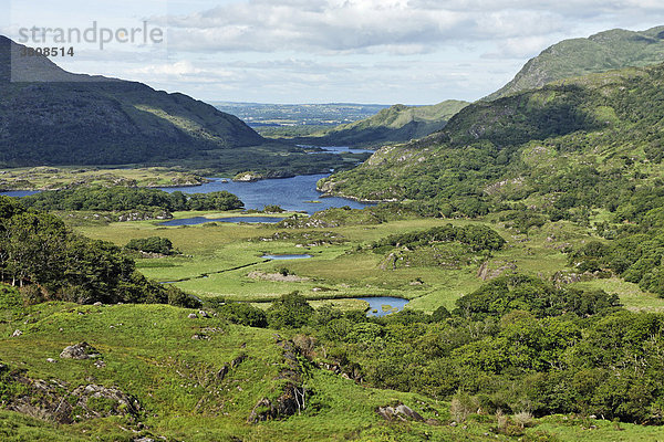 Blick auf den Upper Lake vom Ladies View  Kerry  Irland
