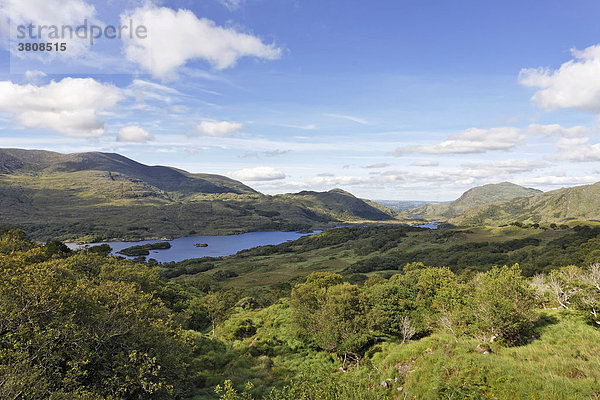 Blick auf den Upper Lake vom Ladies View  Kerry  Irland