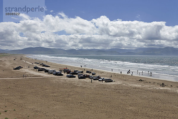 Strand von Inch  Kerry  Dingle Halbinsel  Irland