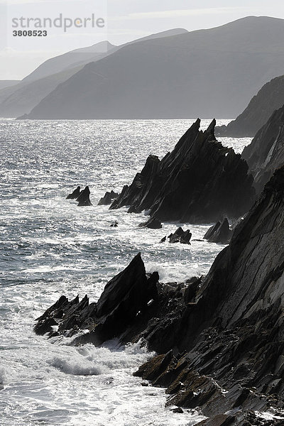 Steilküste und Klippen  Slea Head  Dingle Halbinsel  Kerry  Irland