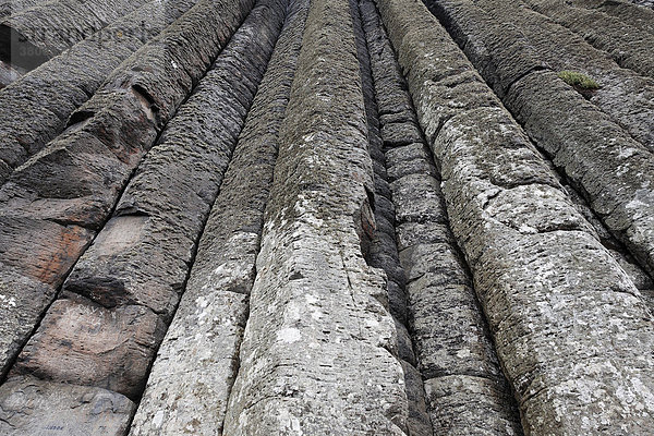 Basaltsäulen an den Klippen bei dem Giant¥s Causeway  Londonderry  Nordirland
