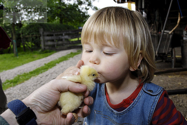 Kleines Mädchen küsst Hühnerküken