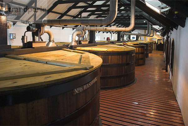 Gärbottich einer Whiskybrennerei  Insel Islay  Schottland. Hier wird aus Gerstenmalz  Hefe und Wasser der Grundstoff für den Brennvorgang hergestellt.