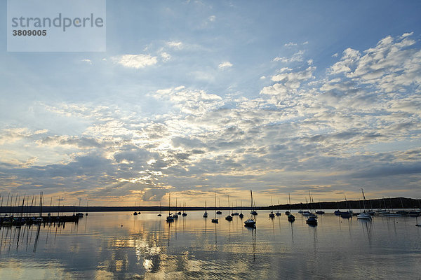 Ammersee  Bayern  Deutschland