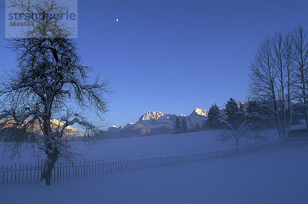 Winterlandschaft  Blick über Krokuswiese von Gerold zum Karwendel  Oberbayern  Bayern  Tirol  Deutschland  Österreich