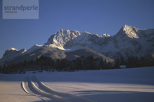 Karwendelgebirge von Gerold im Winter mit Langlaufloipe  Oberbayern  Bayern  Deutschland