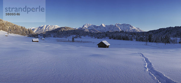 Krokuswiese mit Heustadel im Winter mit Spur im Schnee und Karwendelgebirge  Gerold  Oberbayern  Bayern Deutschland  Tirol  Österreich