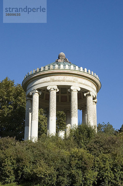 Monopterus im Englischen Garten  München  Bayern  Deutschland