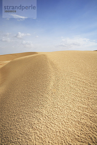 Sanddüne in der Sahara  Tozeur  Tunesien