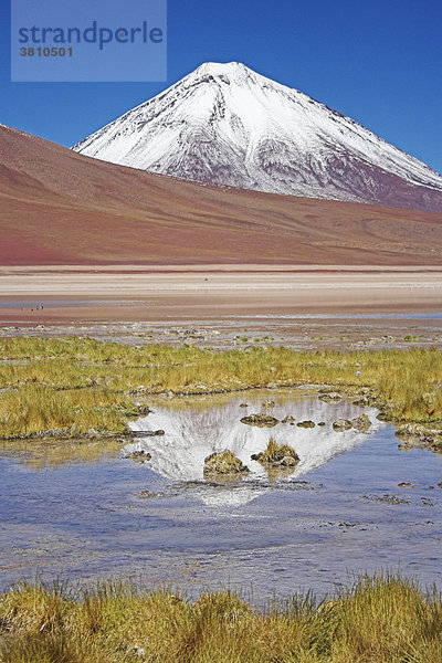 Laguna Verde und Vulkan Licancabur  Bolivien an der Grenze zu Chile  Südamerika