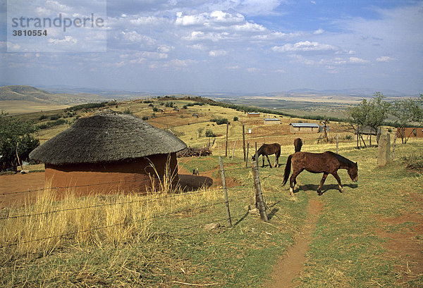 Dorf in den Drakensbergen an der Grenze zwischen dem Eastern Cape und Kwazulu Natal  Südafrika