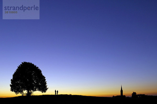 Zwei Personen stehen rechts neben einer Linde ( Tilia ) während der blauen Stunde am Abend  rechts davon steht ein Kirchturm  Irschenberg   Oberbayern  Bayern  Deutschland