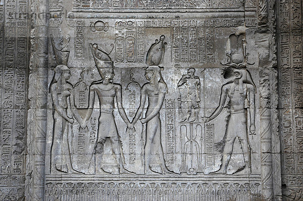 Relief an der Aussenfassade des Tempels von Esna  Oberägypten  Ägypten  Afrika