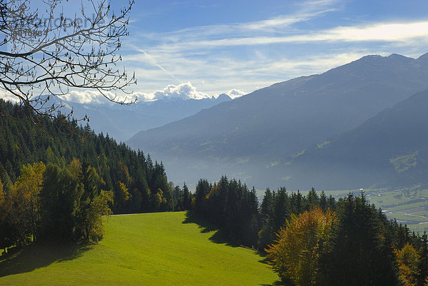 Blick über herbstlich verfärbte Almlandschaft auf Föhnmauer am den Zillertaler Hauptkamm  Tirol  Österreich
