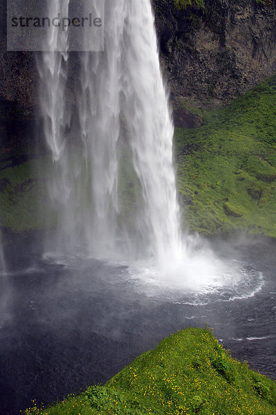 Seljalandsfoss-Wasserfall auf der Insel Island - Südisland  Island  Europa