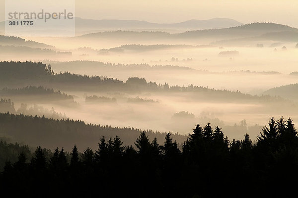 Blick über Waldlandschaft bei Morgenröte des Himmels mit Nebel