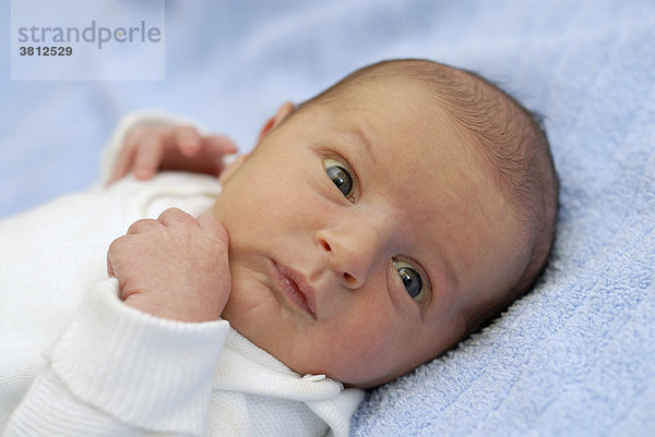 Portrait eines neugeborenen Jungen  4 Tage