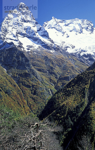 Teberdinskiy Naturreservat  Nord-West Kaukasus  Russland