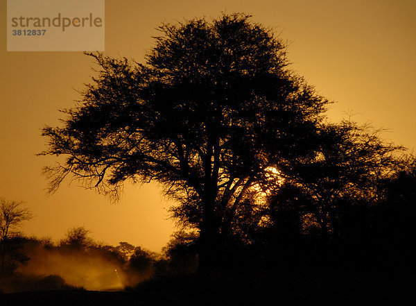Sonnenuntergang im Krügerpark  Südafrika