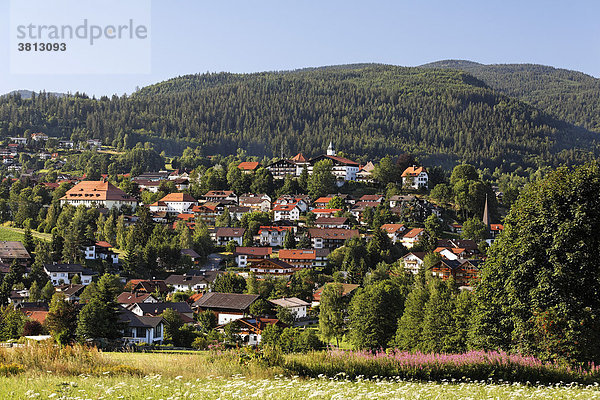 Bodenmais   Bayerischer Wald   Niederbayern Deutschland