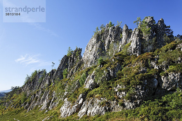Geotop Großer Pfahl bei Viechtach   Bayerischer Wald   Niederayern Deutschland