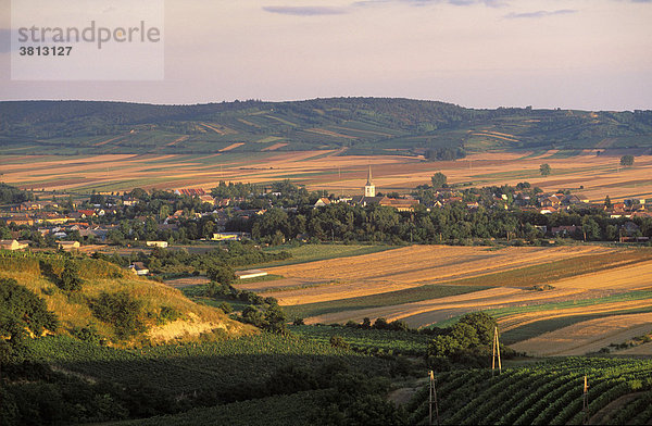 Weinviertel Haugsdorf Niederösterreich Österreich