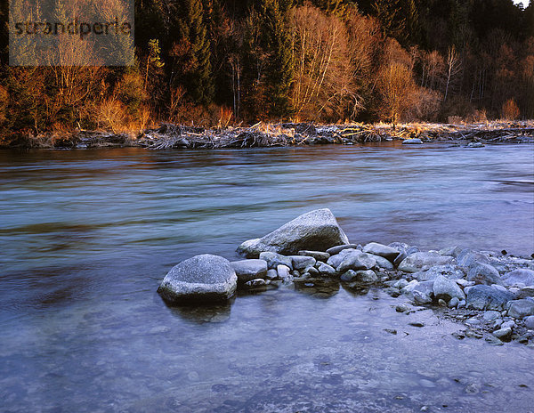 Isar bei Geretsried Oberbayern Deutschland