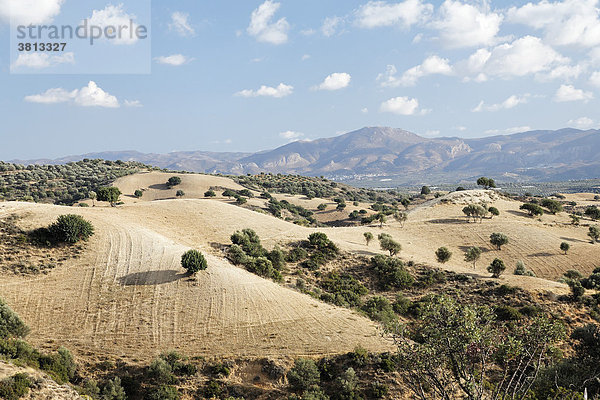 Landschaft bei Vori  Südkreta  Kreta  Griechenland