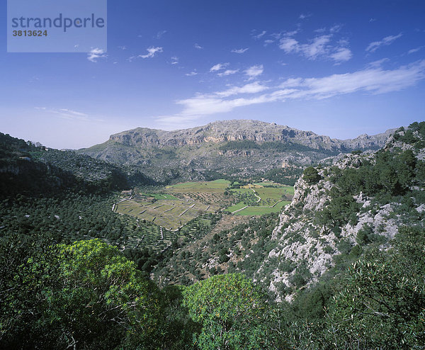 Son Llobera nahe Kloster Lluc  Serra de Tramuntana  Mallorca  Spanien