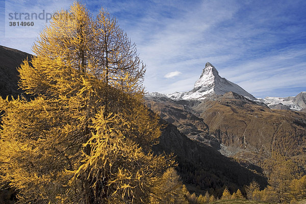 Das Matterhorn  Zermatt  Wallis  Schweiz  Europa