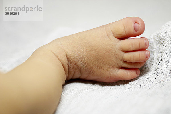 Fuß eines neugeborenen