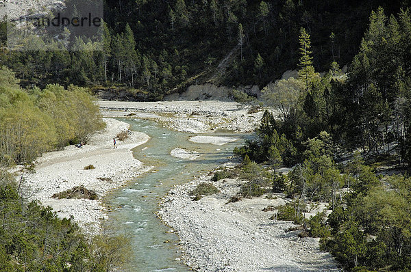 Oberer Isarlauf  Isar im Hinterautal  Karwendelgebirge  Tirol  Österreich